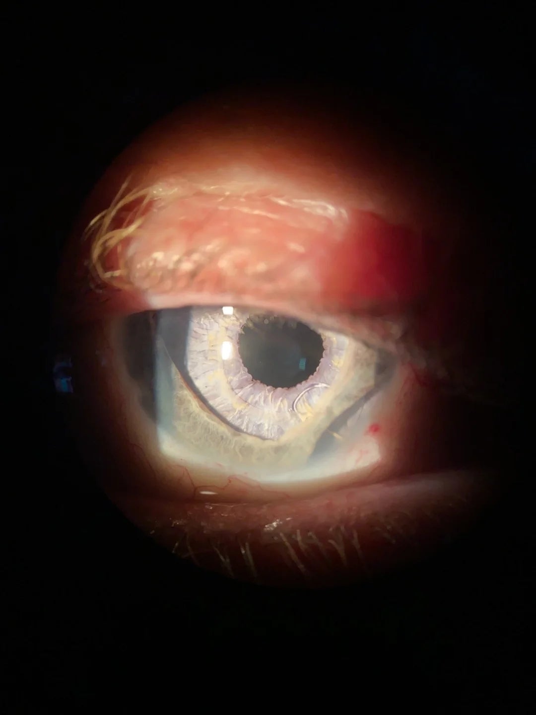 Post image 16