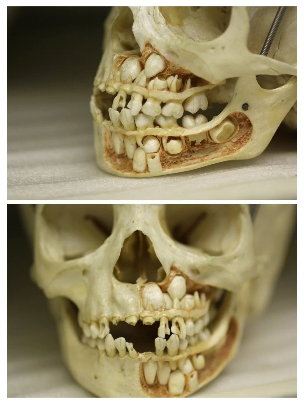 Post image 27