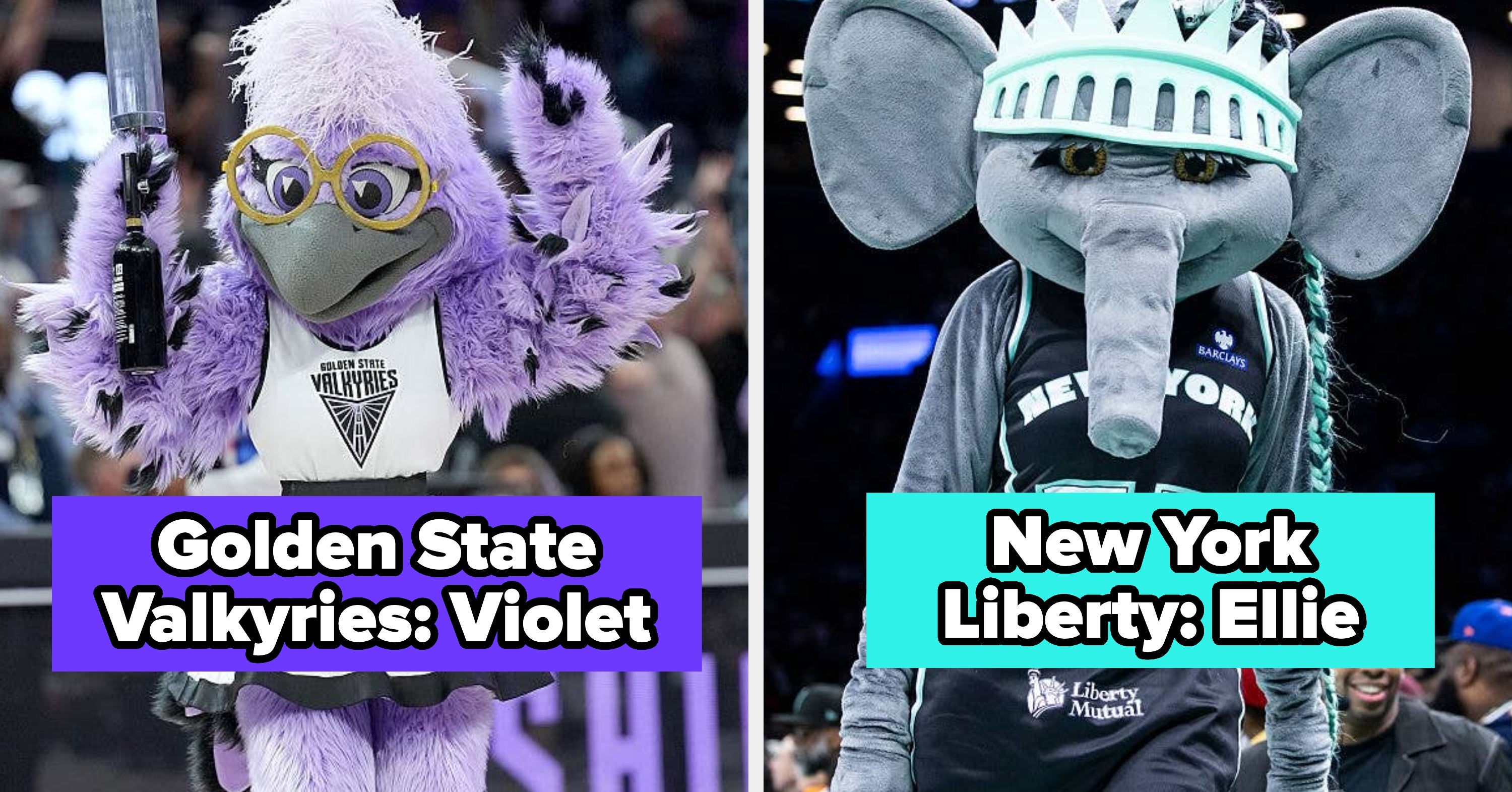 Here's A List Of Every Mascot In The Women's National Basketball Association