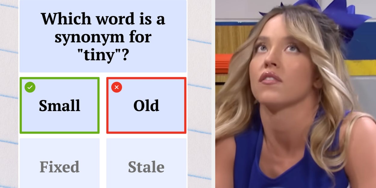 Only The Top 3% Of Smart People Can Score A Perfect 30/30 On This Synonym Test