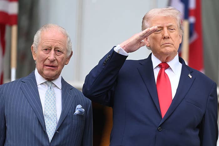 Two men lasting  broadside  by side; 1  is saluting with a superior   expression. Both are successful  ceremonial  suits