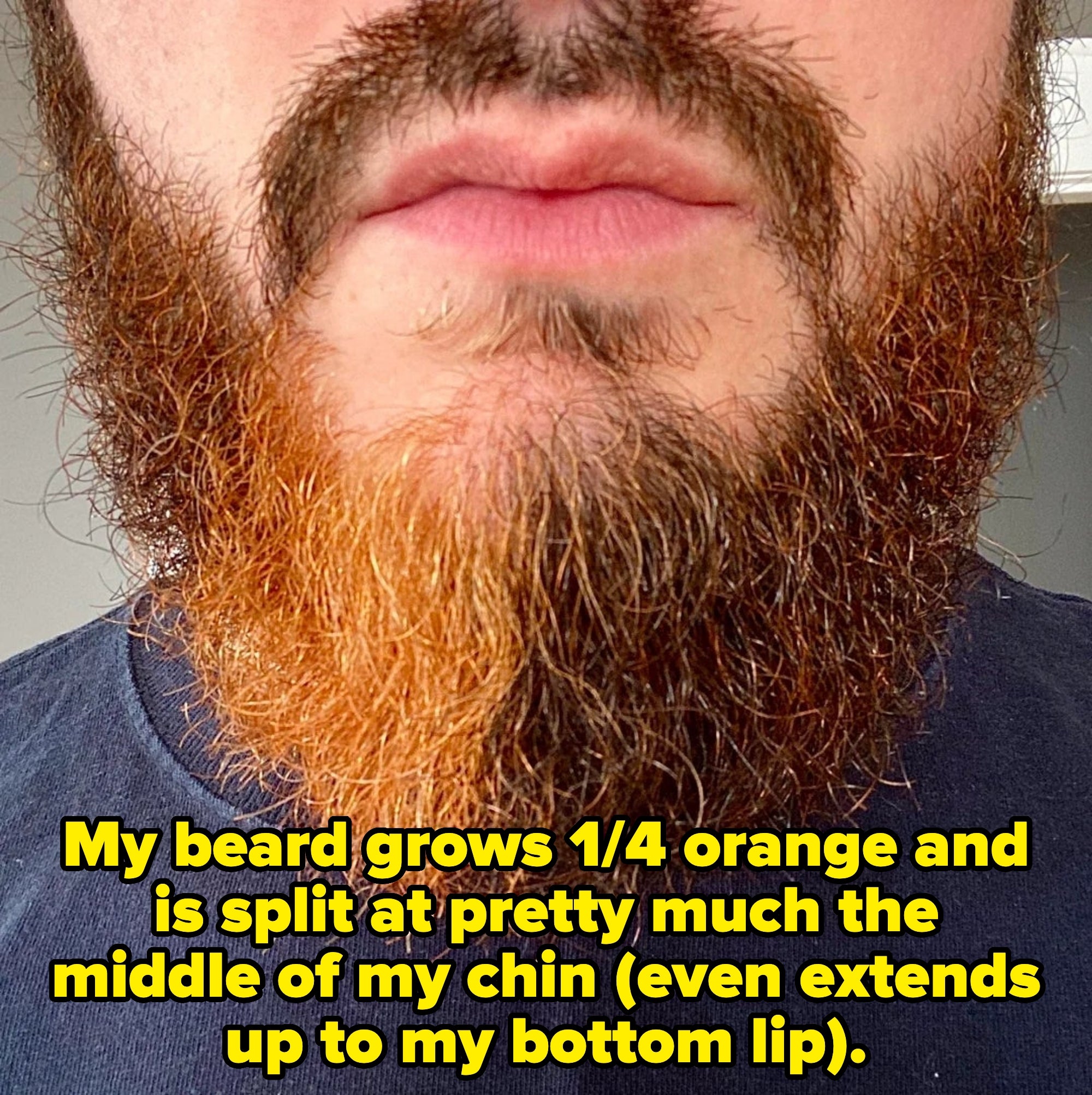 Post image 12