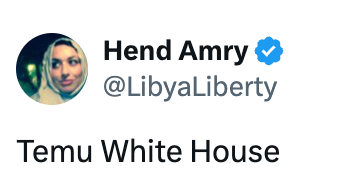 Profile representation  of a Twitter relationship  belonging to Hend Amry, @LibyaLiberty, with the substance   "Temu White House" successful  a tweet