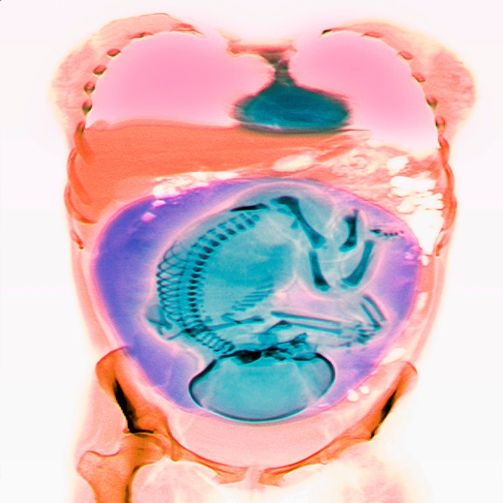Post image 24