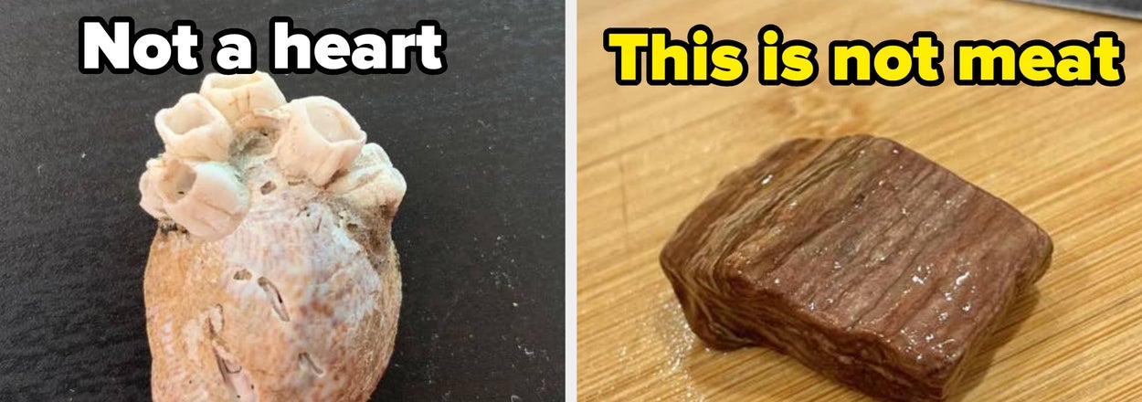 22 Things That Look Sooo Much Like Other Things They Scratched An Itch In My Brain I Didn't Know Needed Scratching
