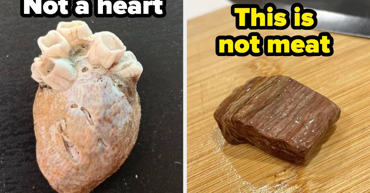 22 Photos That Scratched A Very Good Itch In My Brain Because They Look So Much Like Something Else