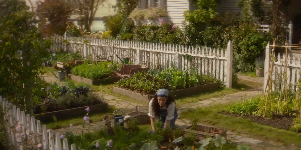 What Should You Plant In Your Garden?
