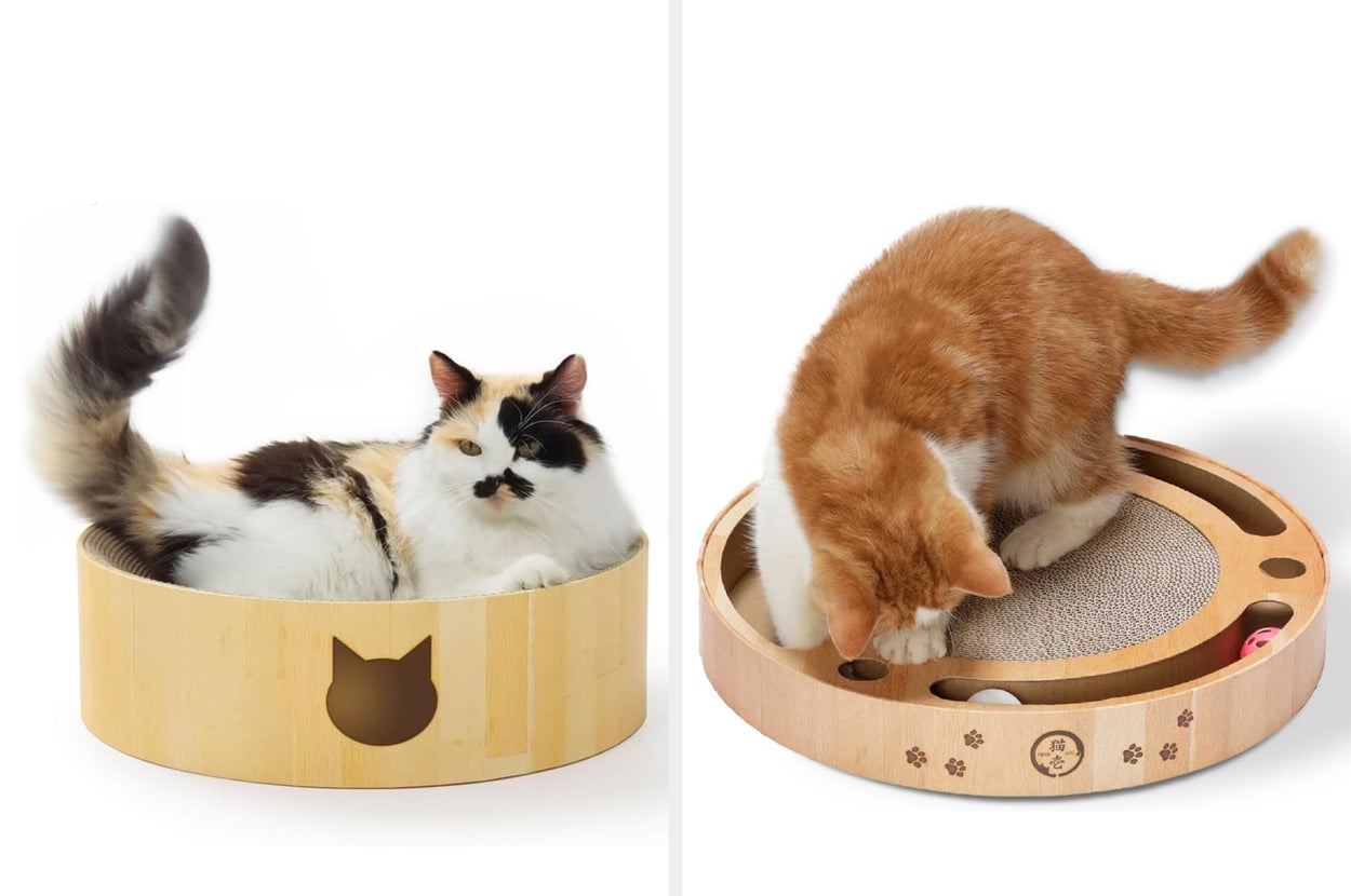 丸い木製ベッドに寝そべるふわふわの猫。ベッドには猫の形のくり抜き模様があります。