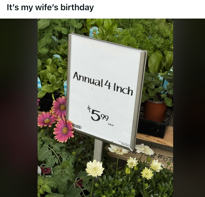Post image 11