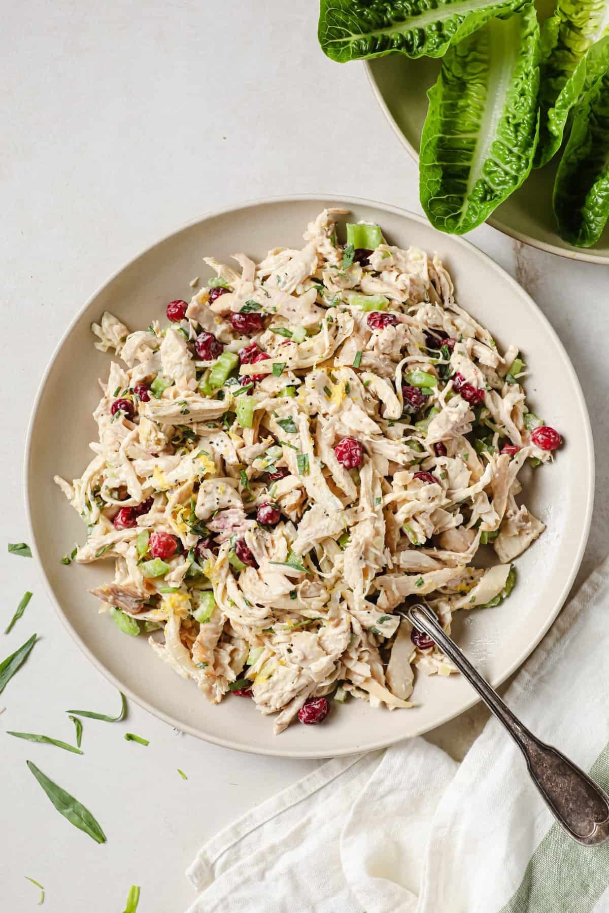 Chicken salad with shredded chicken, cranberries, celery, and herbs on a plate, beside a few romaine lettuce leaves