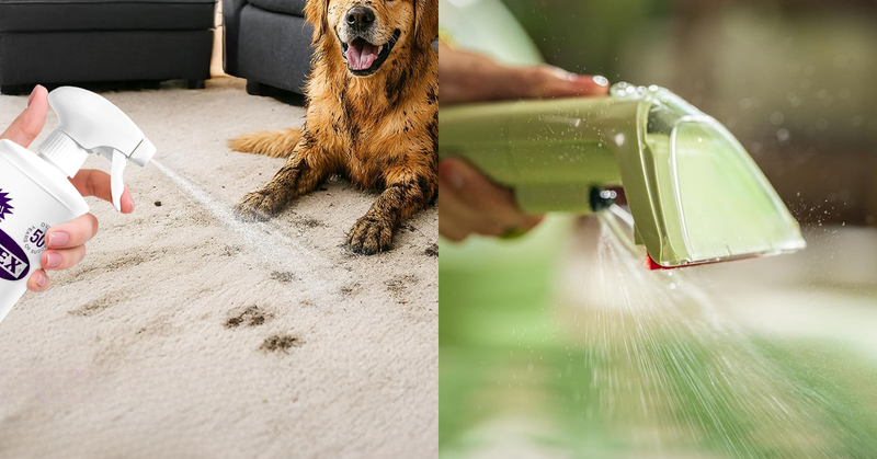 My Dog And Baby Puke On Everything — Here's What Gets All The Stains Out