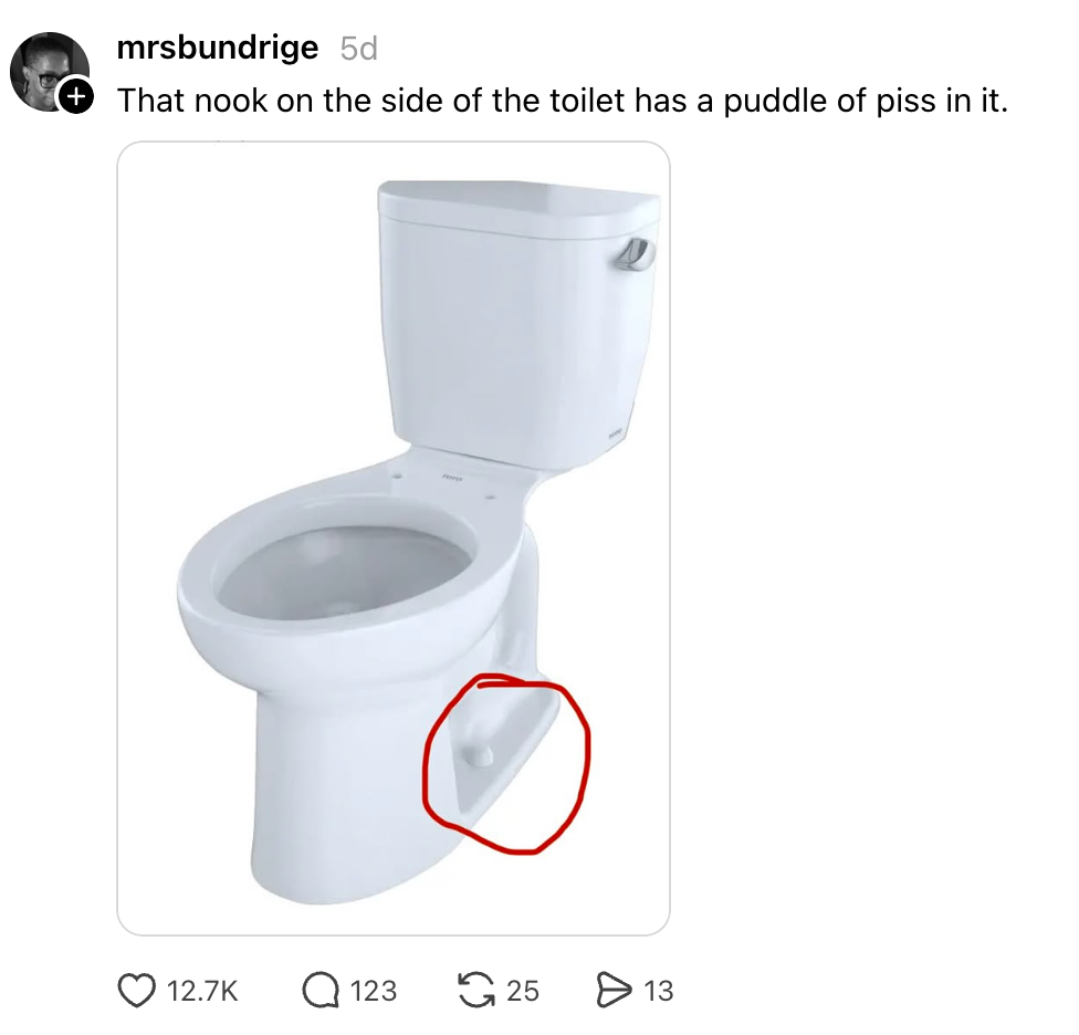 Social media station  by mrbsundrige shows a toilet; a circled country  highlights a problematic nook prone to trapping liquid