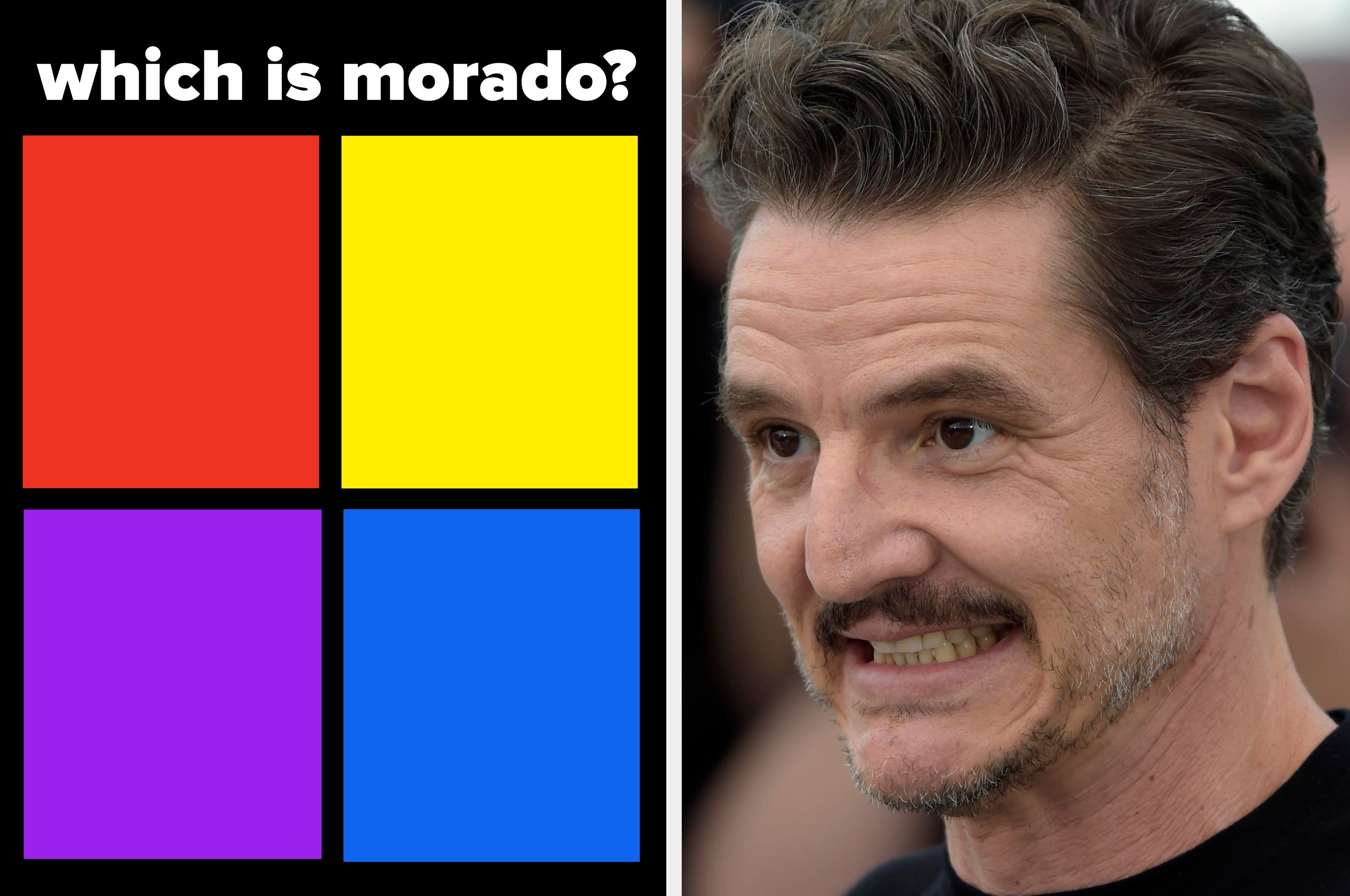 On the right, Pedro Pascal grimaces. On the left, there are four colors with a question at the top: Which is morado? ("purple" in Spanish)