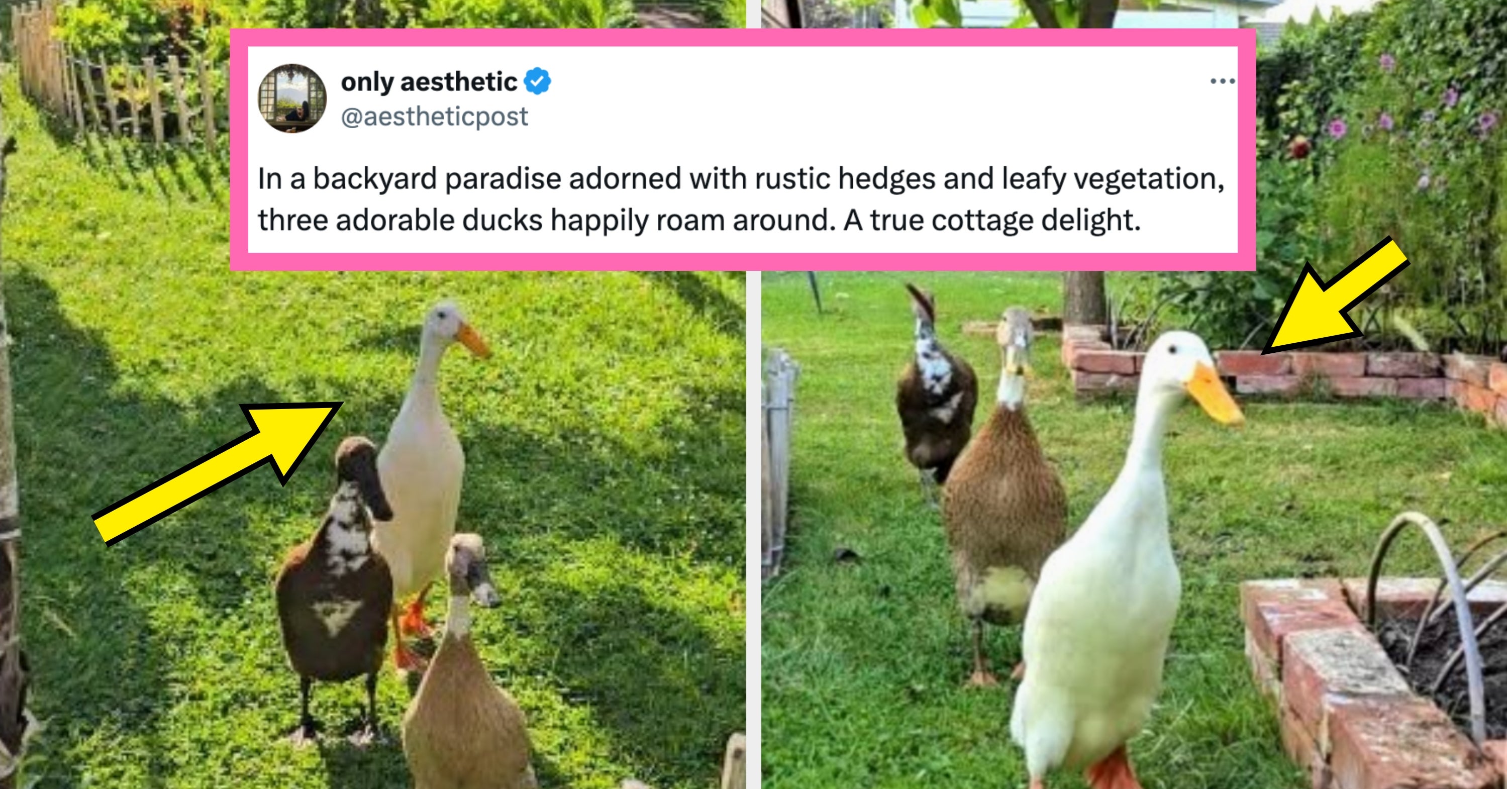 17 Of The Funniest, Cutest, And Most Wholesome Posts From The Internet This Week That I Curated Just For You, Because I Love You