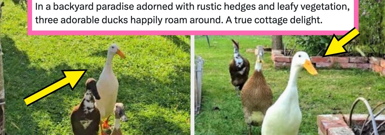 The World Might Be On Fire, But I Compiled 17 Wholesome Posts From The Internet This Week To Help Cheer Up Your Day