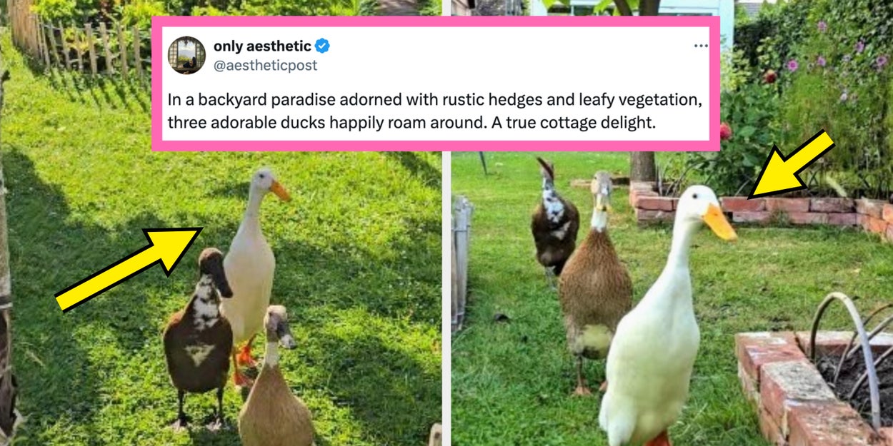 The 17 Most Wholesome Posts From The Internet This Week