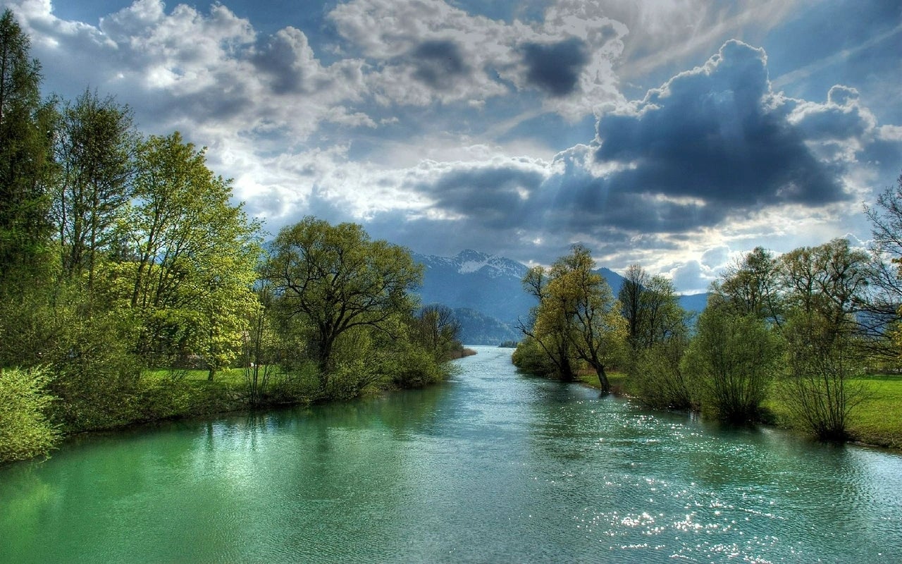River flowing betwixt  trees with a cloudy entity  successful  the background, creating a serene earthy  scene