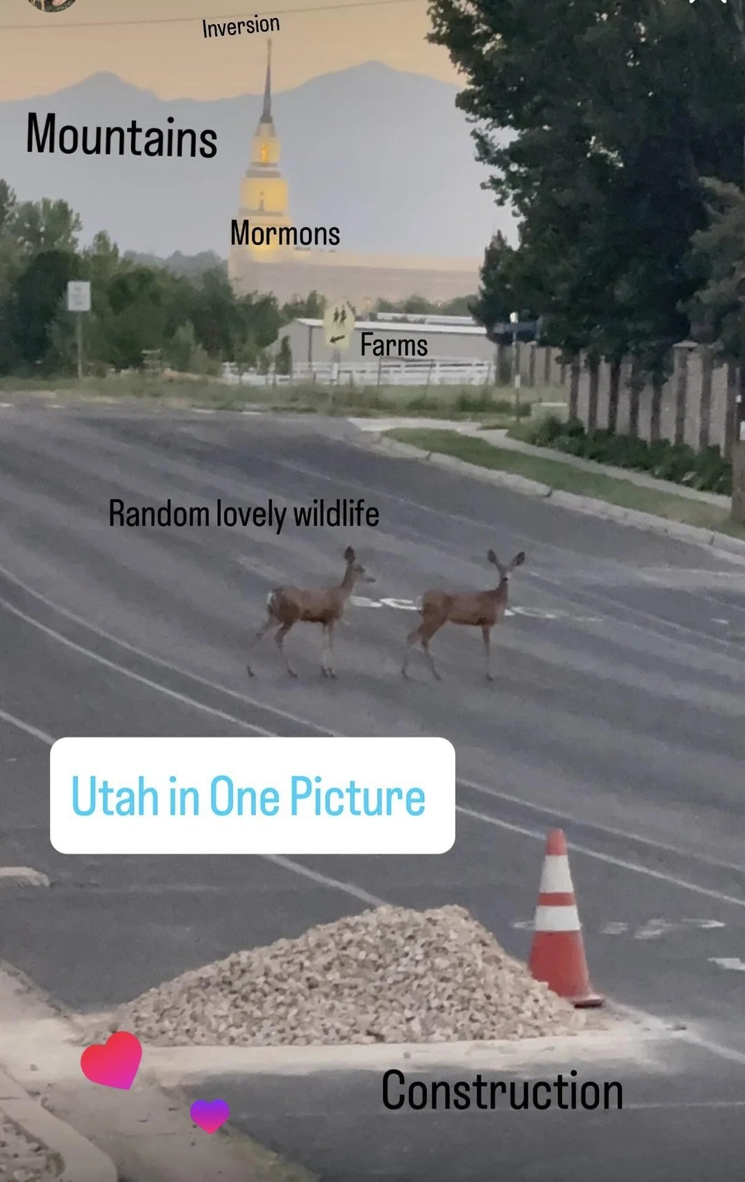 Two cervid  crossing a paved roadworthy  with mountains and a religion  spire successful  the background, labeled arsenic  representing Utah