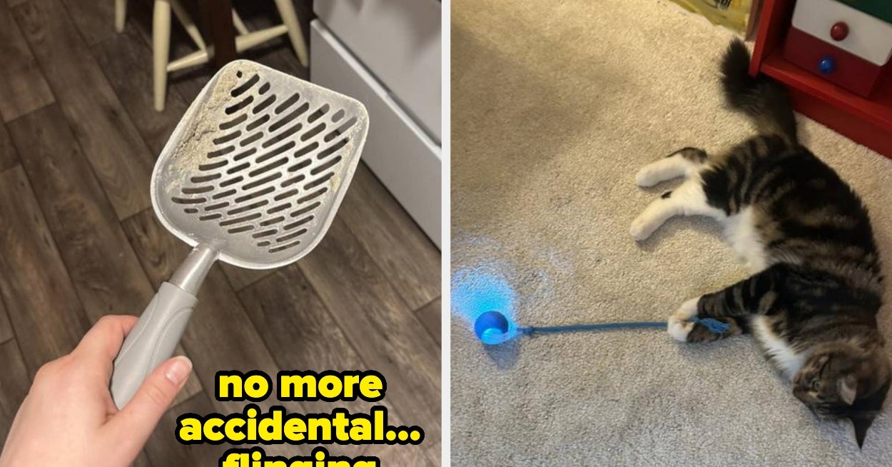 28 Things From Chewy That Just Want To Make Life Easier For Cat Owners