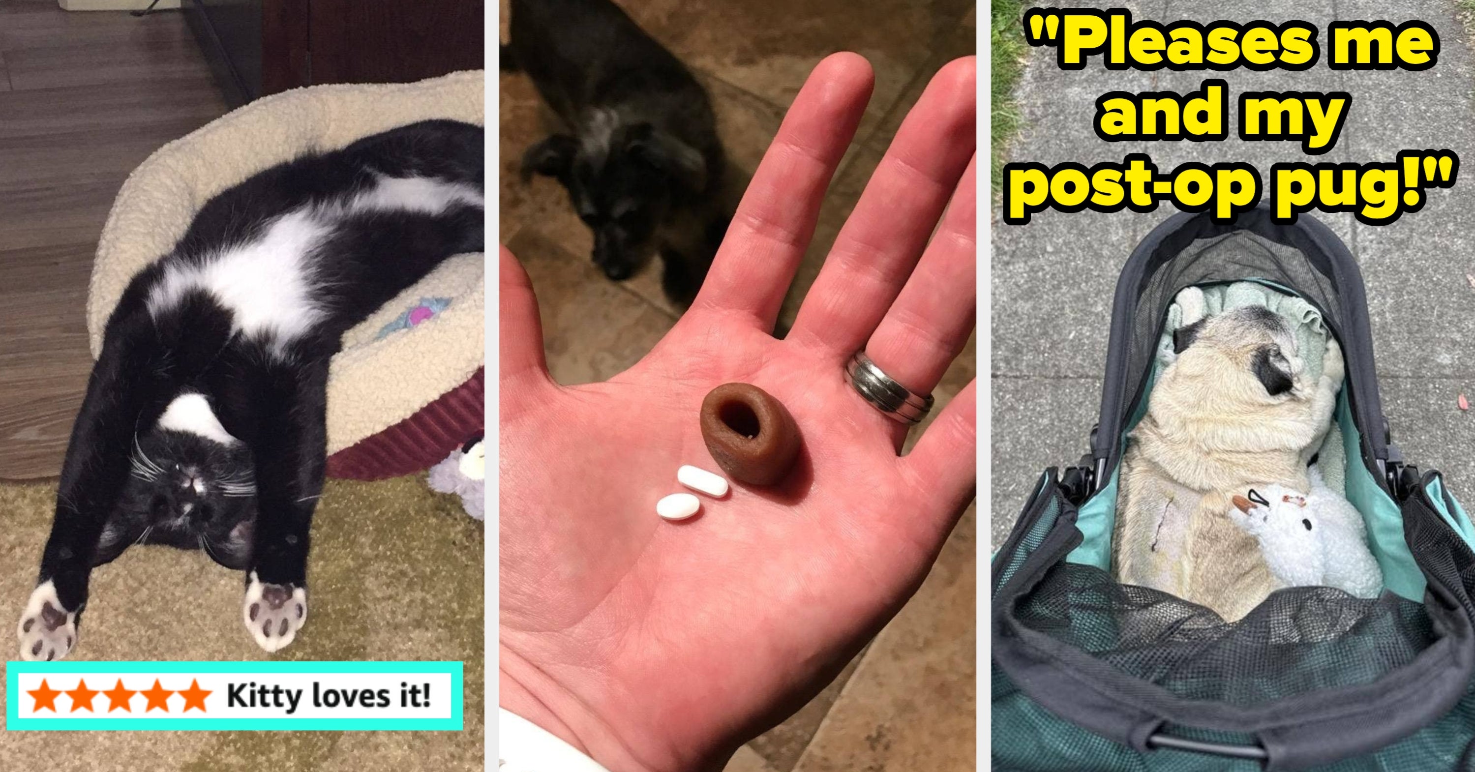 Owning These 28 Helpful Pet Products Will Earn You Two Paws Up