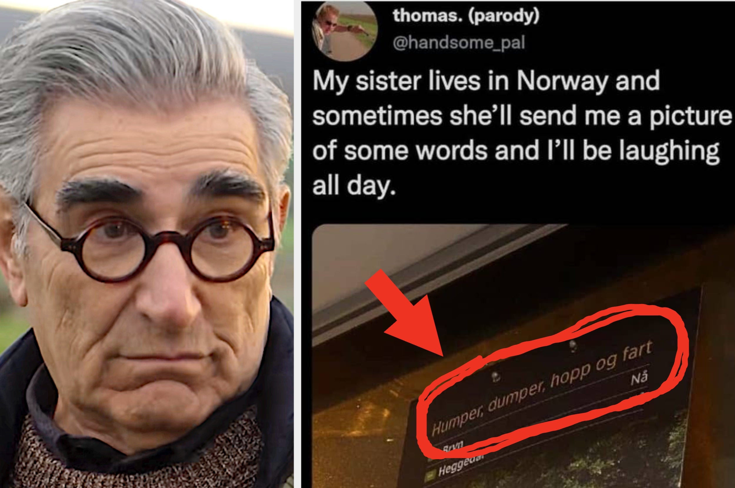 Photo of a man's face next to a tweet about finding humor in Norwegian words, with "humper, dumper, hopp og fart" shown circled in the image