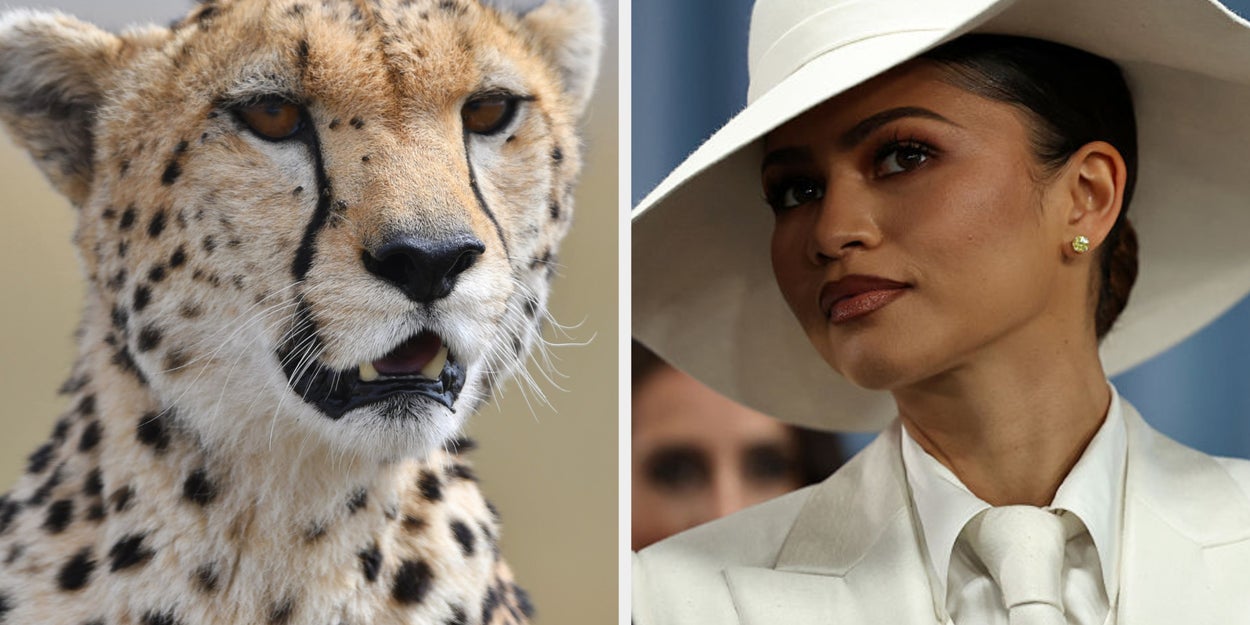 If You Can't Pass This General Knowledge Quiz, You Are Incredibly Smooth-Brained