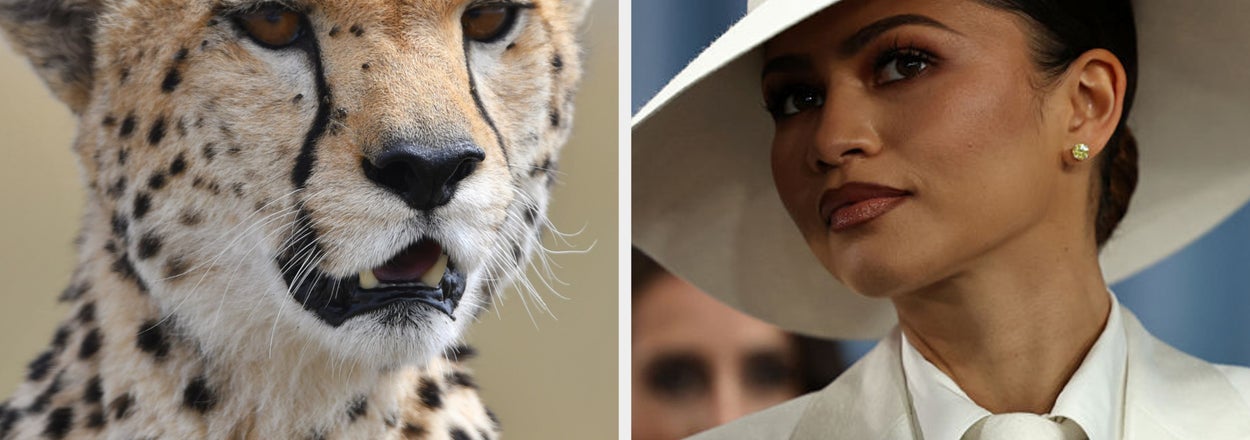 If You Can't Pass This General Knowledge Quiz, You Are Incredibly Smooth-Brained