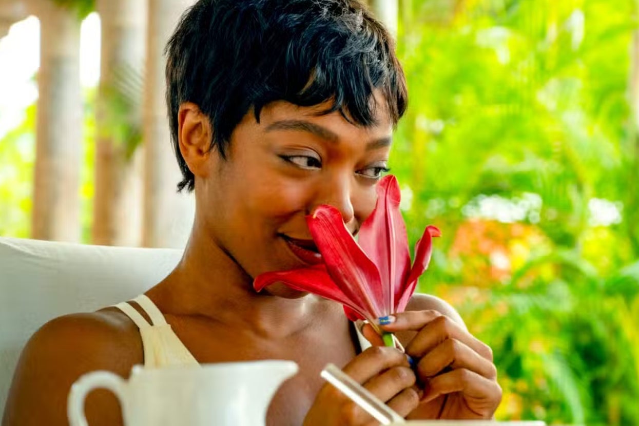 Are You More Like A Tulip, Rose, Or A Different Flower? This Quiz Will Reveal All