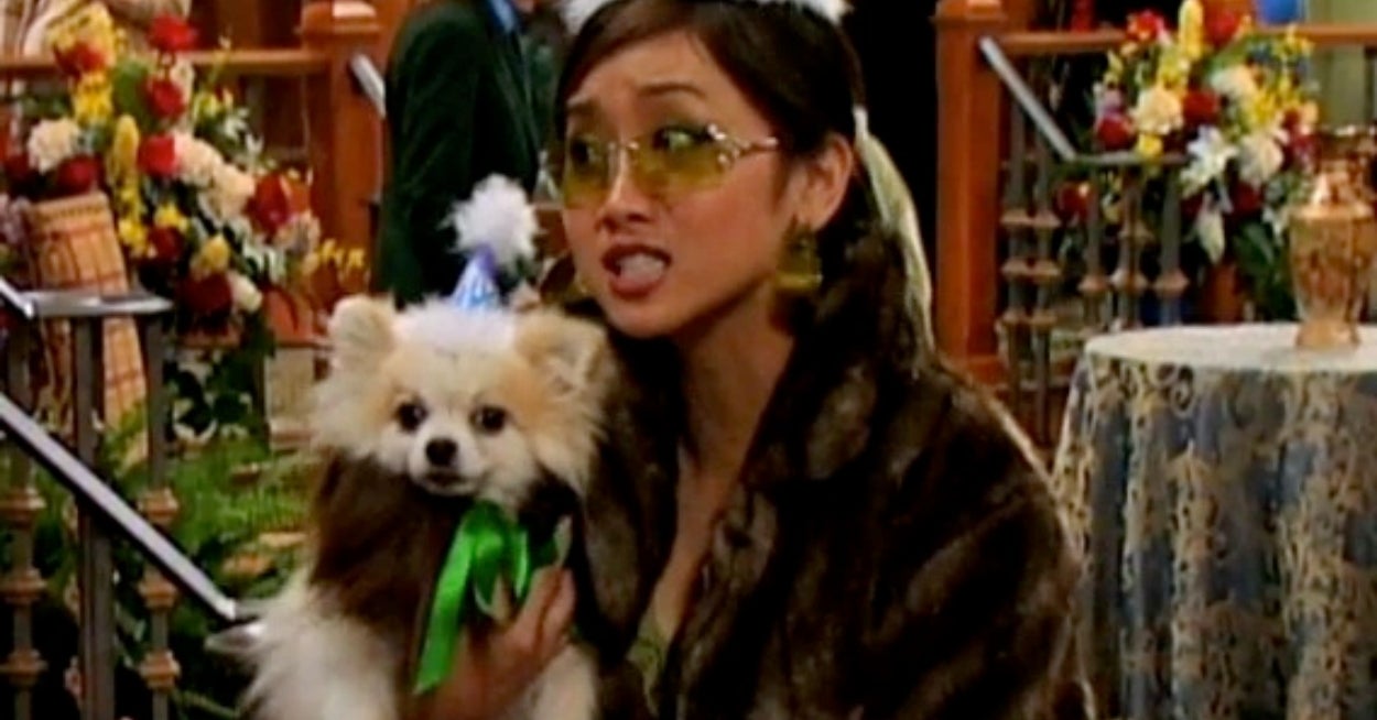 Ruff Ruff! Have You Wondered What Dog Breed You Are Deep Down Inside? This Travel Quiz Will Reveal Your Inner Dog