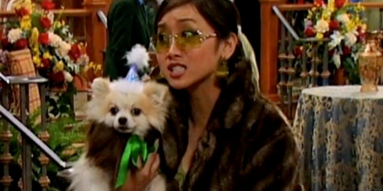 Your Travel Bucket List Will Reveal Which Dog Breed You Are At Heart (99% Accuracy)