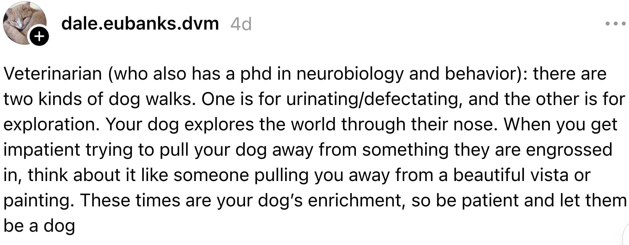  1  for basal  needs and different  for exploration. Encourage patience for dogs' enrichment