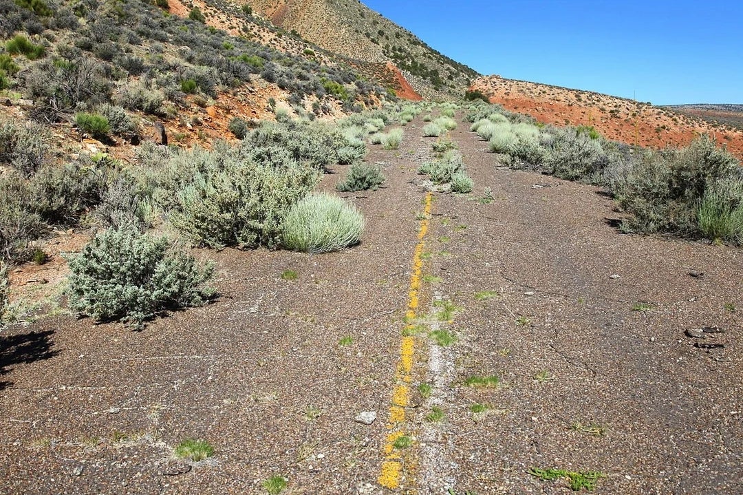 Abandoned roadworthy  overgrown with shrubs and plants successful  a godforsaken  landscape