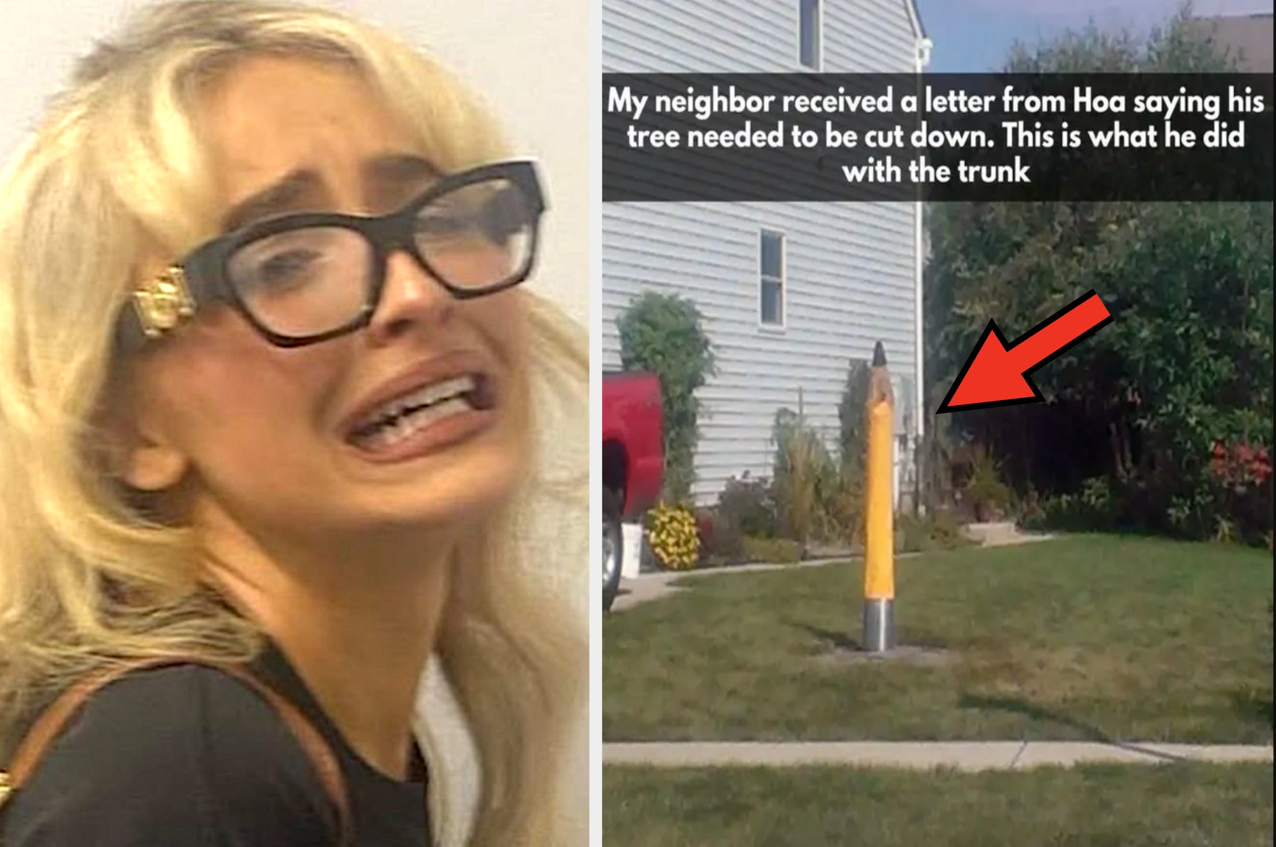 Woman reacting with wide eyes and open mouth beside a yard where a tree trunk is painted like a pencil. Text describes a neighbor's creative solution