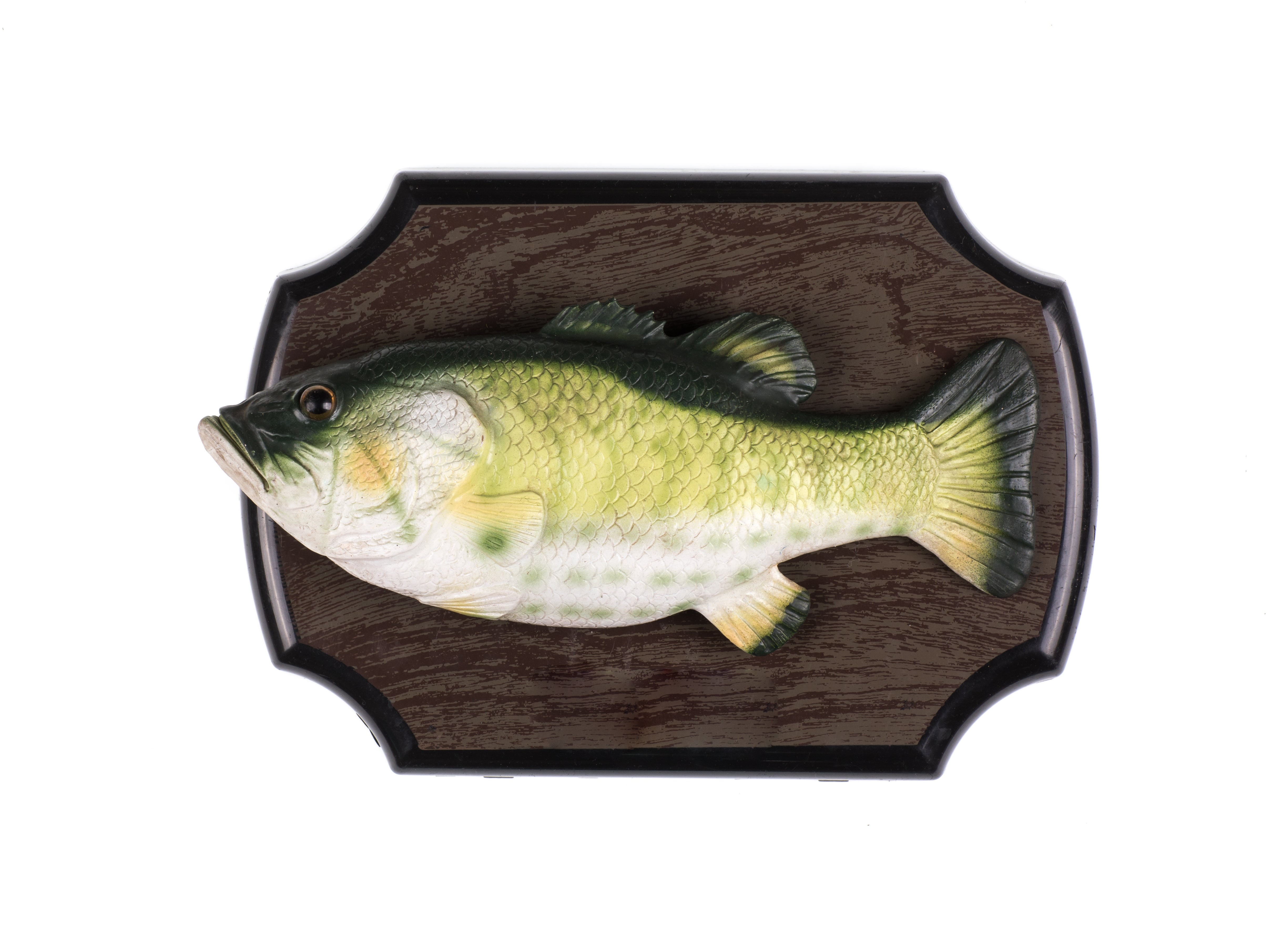 Mounted food  trophy connected  a woody  plaque, featuring a lifelike largemouth bass