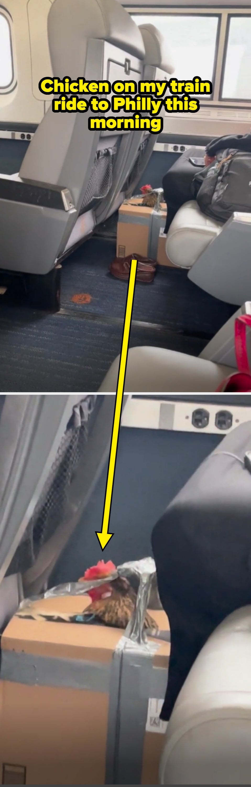 Train spot   country  with 2  pairs of shoes, a suitcase, a brownish  box, and a tiny  potted works  connected  the floor