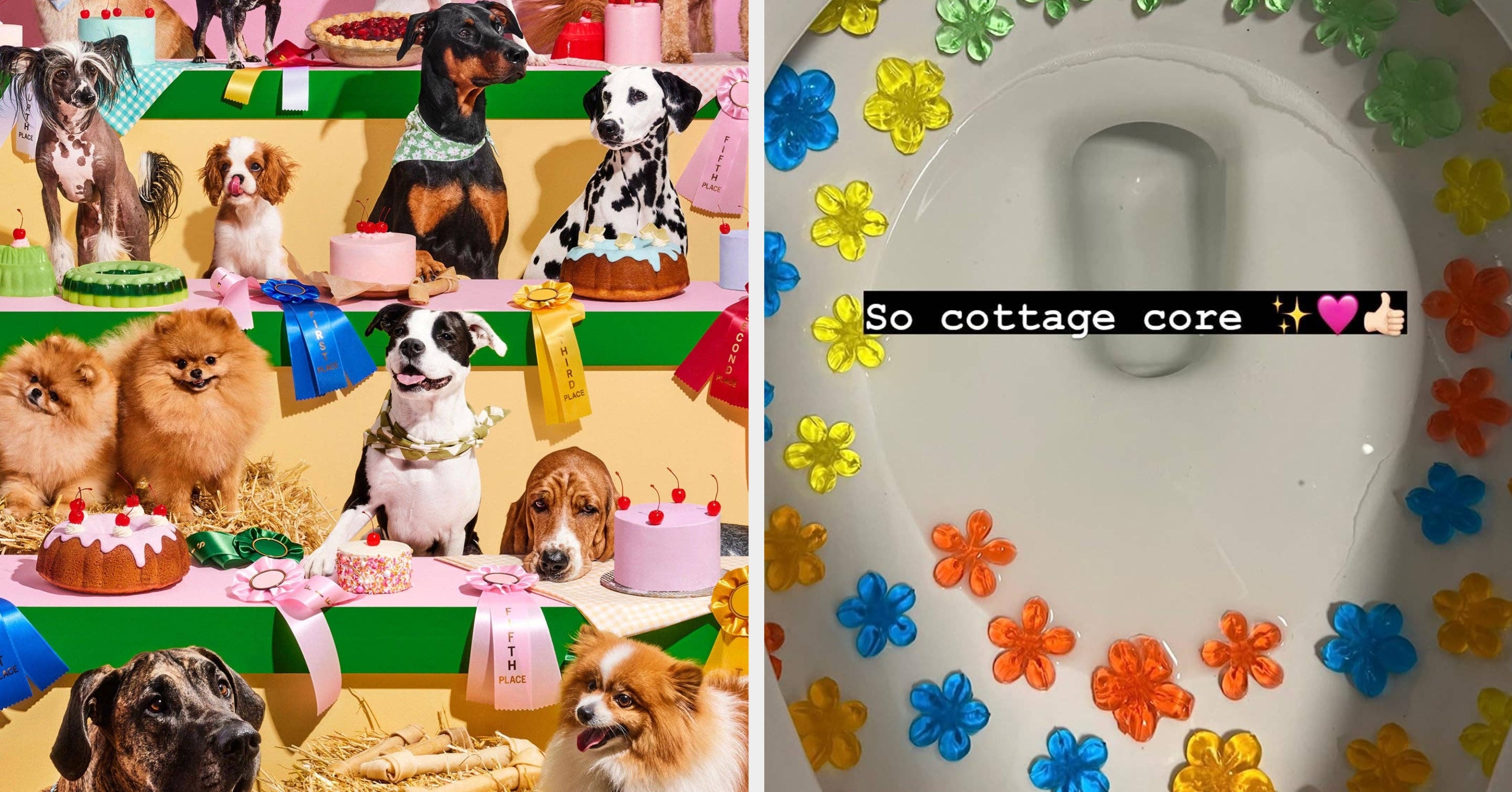 Just 31 Products That’ll Make You Say, “Yep, I Immediately Need To Buy That”