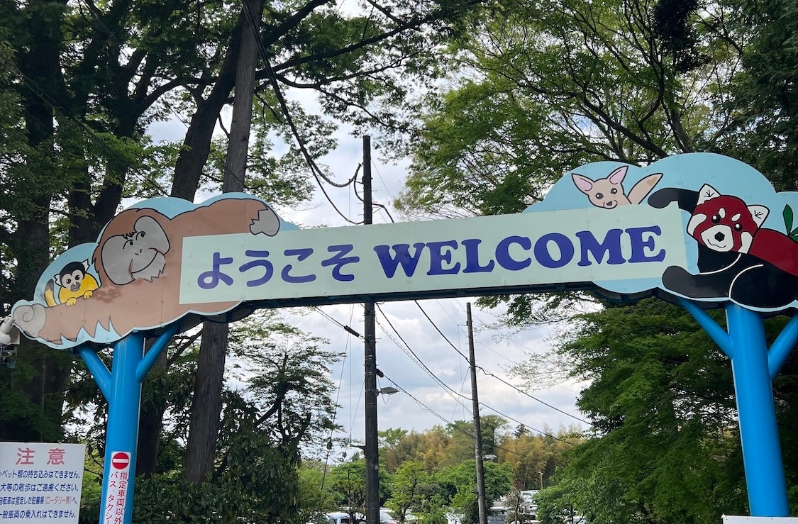 Post image 12