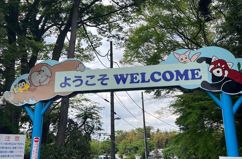 Post image 13