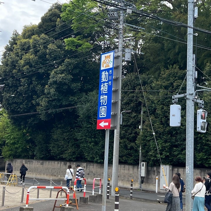 Post image 11