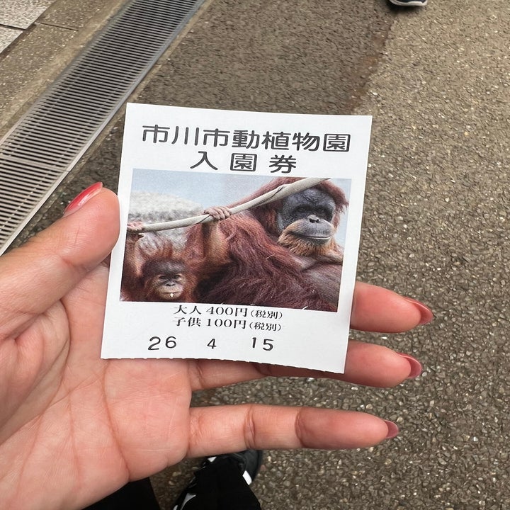 Post image 15