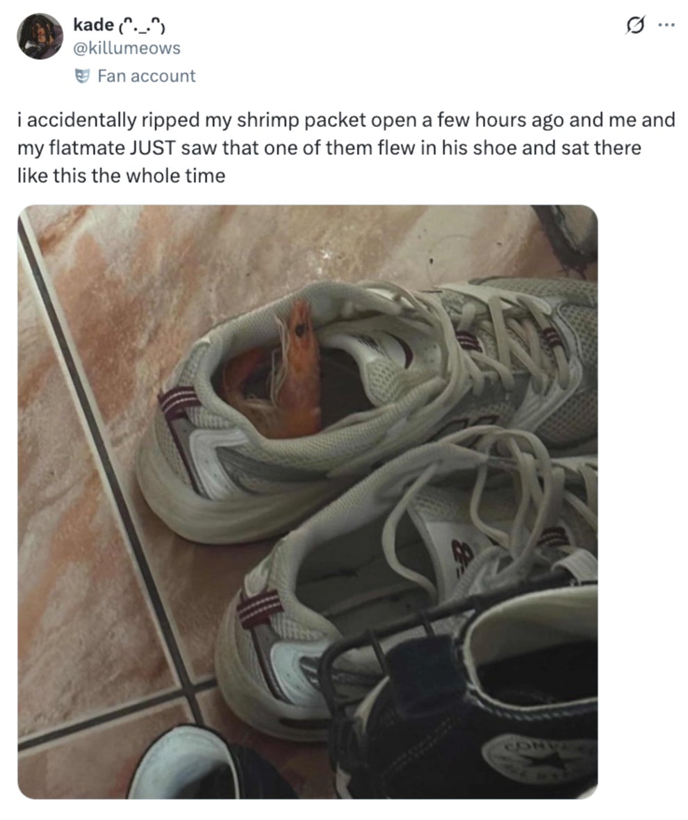 Post image 16
