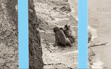 Post image 30
