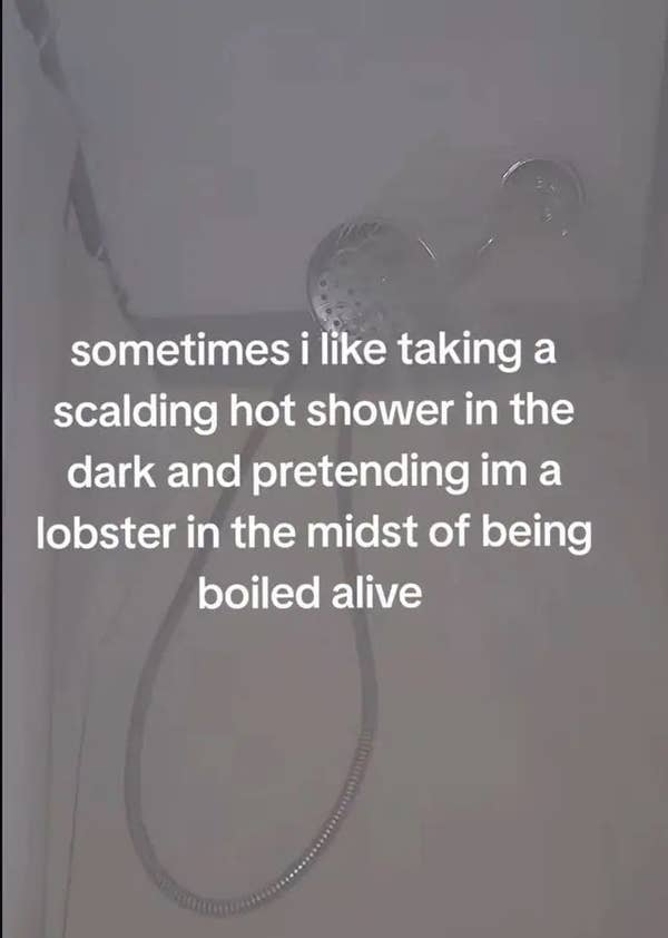 Text over a showerhead: Enjoys hot showers in the dark, pretending to be a lobster being boiled alive