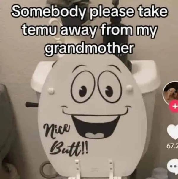 Toilet seat lid with a smiling face and "Nice Butt!!" text, overlaid with "Somebody please take temu away from my grandmother."