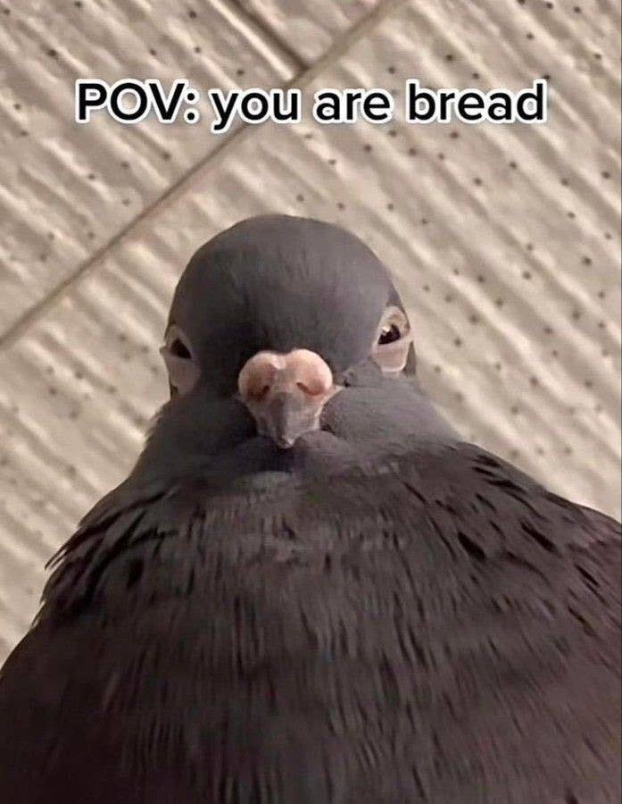 Post image 5