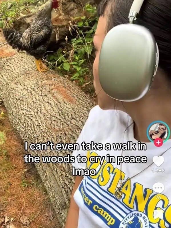 Person with headphones looks at a rooster on a log in the woods. Text reads: "I can't even take a walk in the woods to cry in peace lmao."
