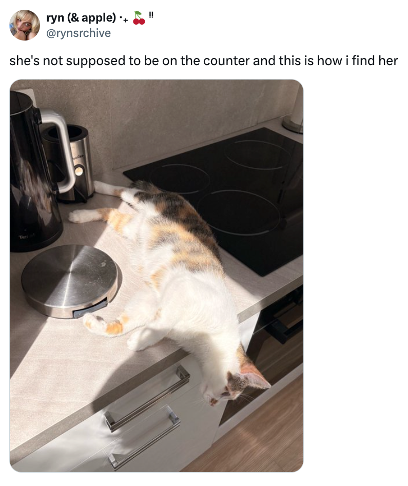 Post image 36
