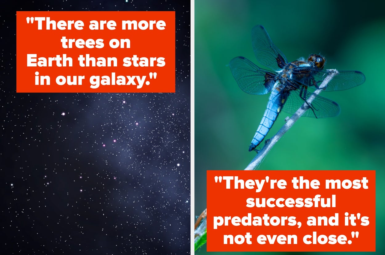 I Can Literally Feel My Brain Melting After Reading These 21 Jaw-Dropping Facts That Barely Anyone Has Heard Before