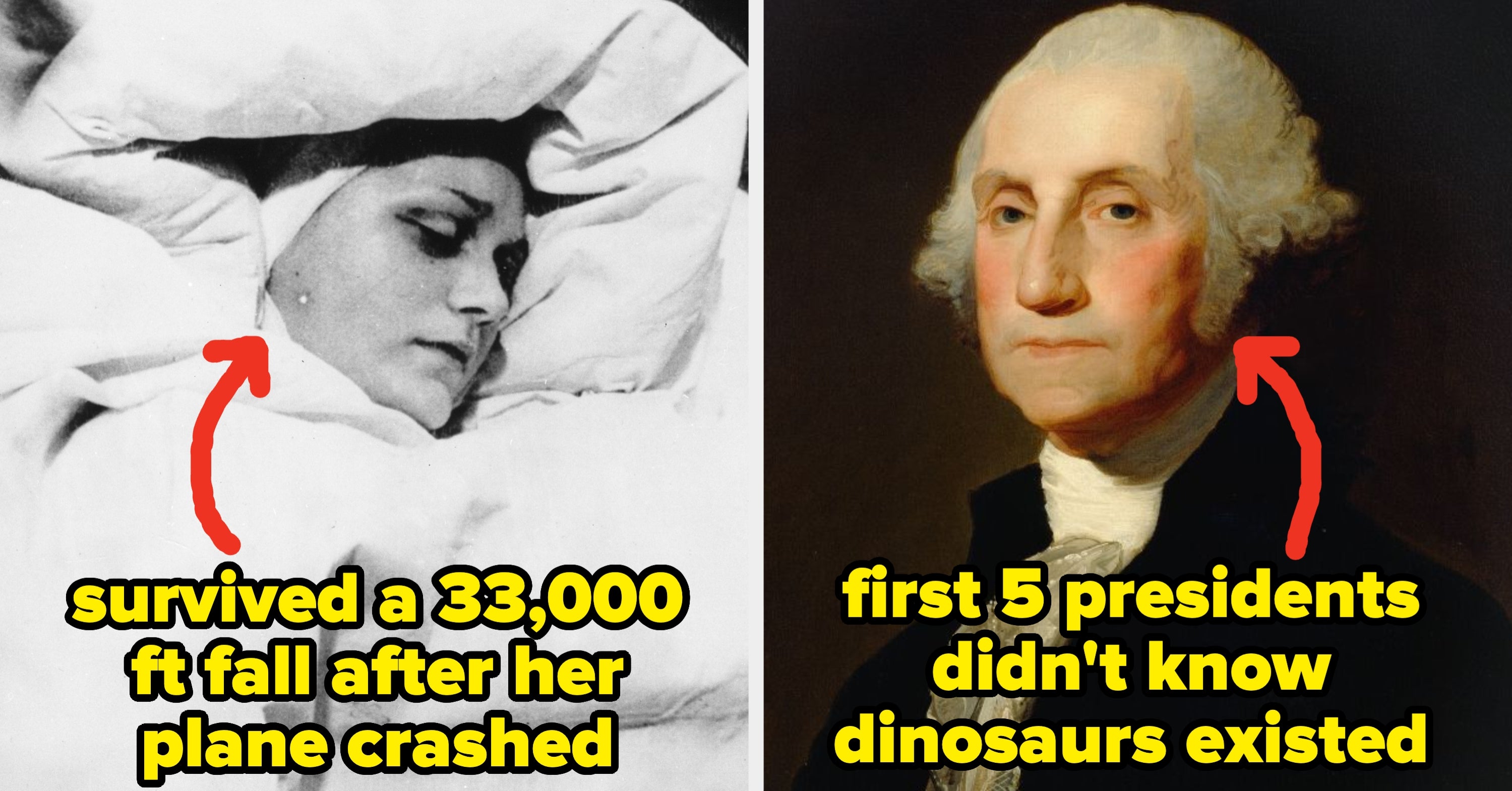21 Absolutely Mind-Boggling Facts That Are So Freakin' Unbelievable, I Had To Triple-Check Them Before Writing This Article