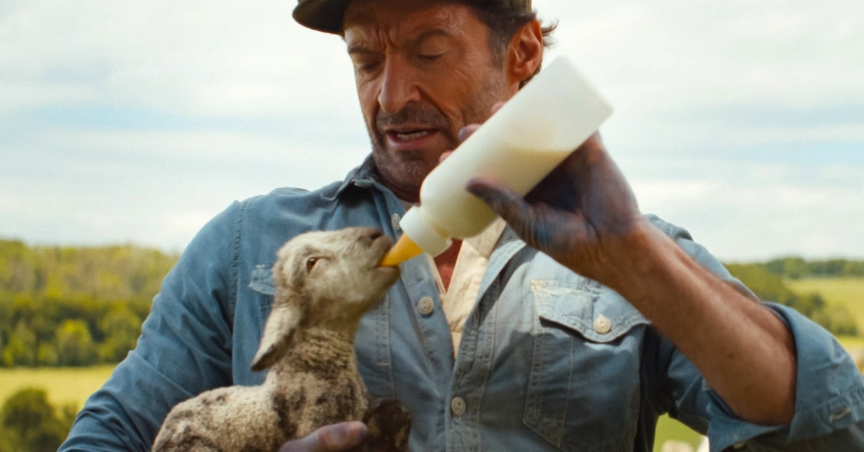 Which Spring Baby Animal Are You? Plan Your Ideal Spring Day To Find Out